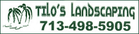 tilos landscaping houston
