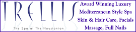 Trellis day spa houstonian